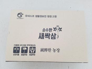 새싹인삼을 판매합니다.(010-3192-9380)